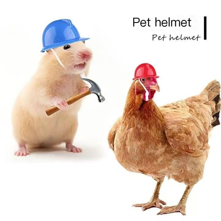New pet chicken helmet hamster helmet pet duck hard hat decorative takeaway motorcycle creativity