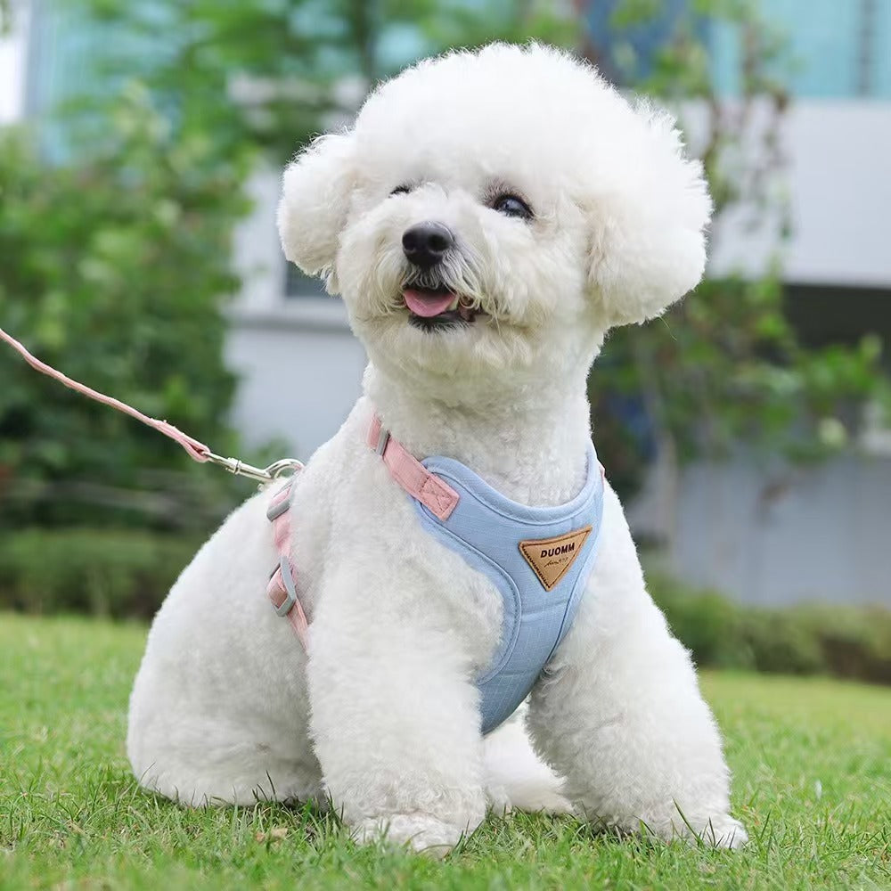 Dog leash cute small dog chest back light unrestrained chest strap outdoor anti-break free pet leash