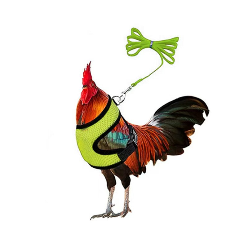 Pet Goose Duck Chicken Breast Strap Traction Rope, Adjustable Chicken Strap, Comfortable Breathable Elastic Strap for Pets