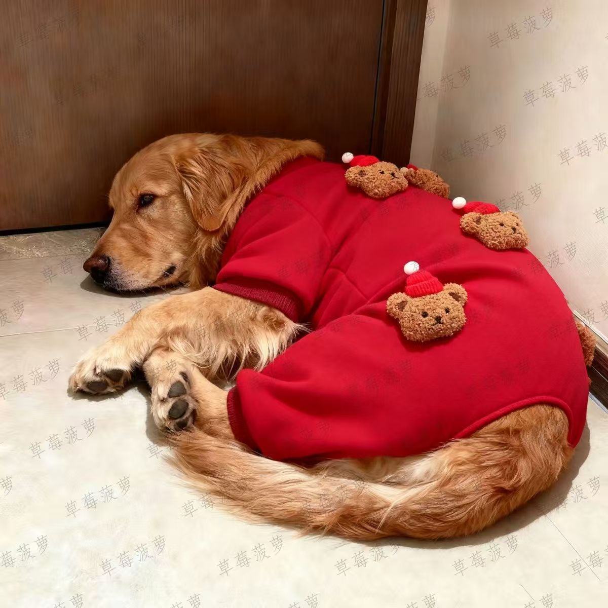 Dog clothes autumn and winter warm thickened cotton-padded clothes Bigbear Teddy Schnauzer small dog cat velvet four-legged clothes