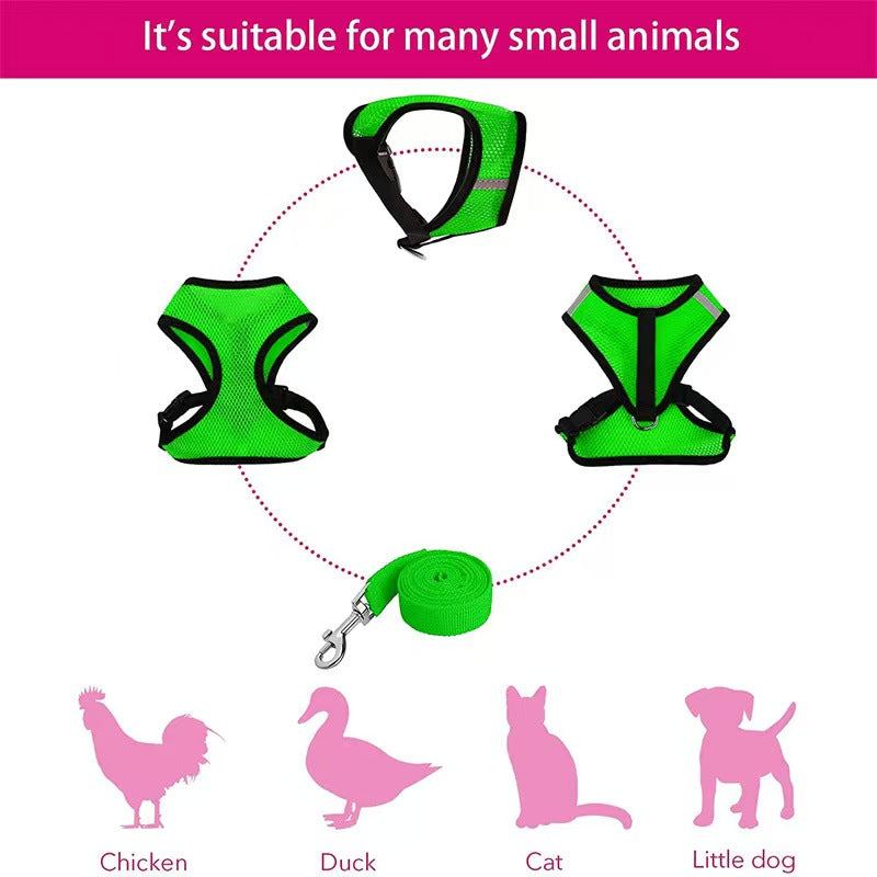 Pet Goose Duck Chicken Breast Strap Traction Rope, Adjustable Chicken Strap, Comfortable Breathable Elastic Strap for Pets