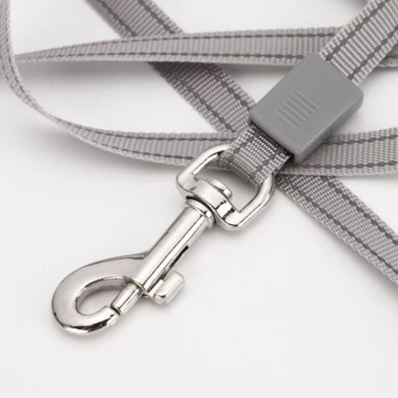 Pet leash, automatic dog lead, retractable dog chain, pet supplies