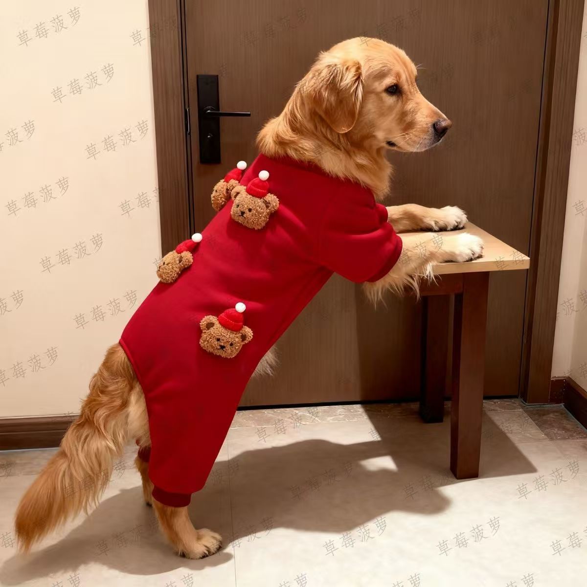 Dog clothes autumn and winter warm thickened cotton-padded clothes Bigbear Teddy Schnauzer small dog cat velvet four-legged clothes