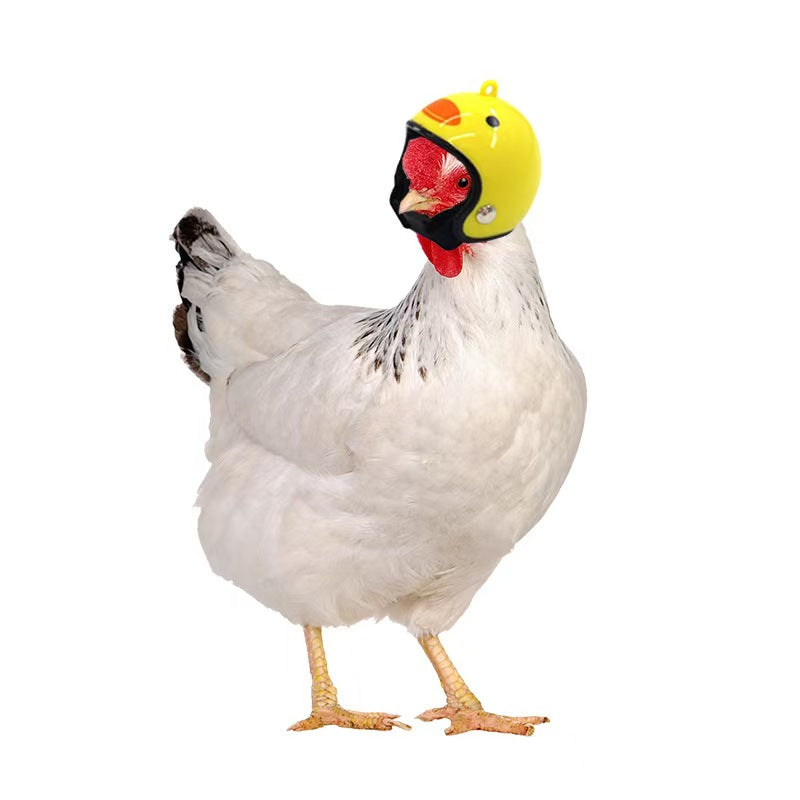 Creative new funny protection chicken helmet hen hat bird hat hood pet supplies