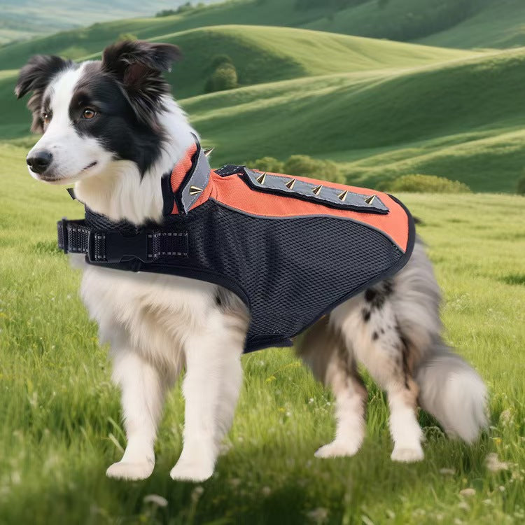 Pet Anti-Bite Clothing with Pads & Four Rows of Rivets, Outdoor Tear-Resistant Outfit for Bichon Frise & Yorkshire Terrier