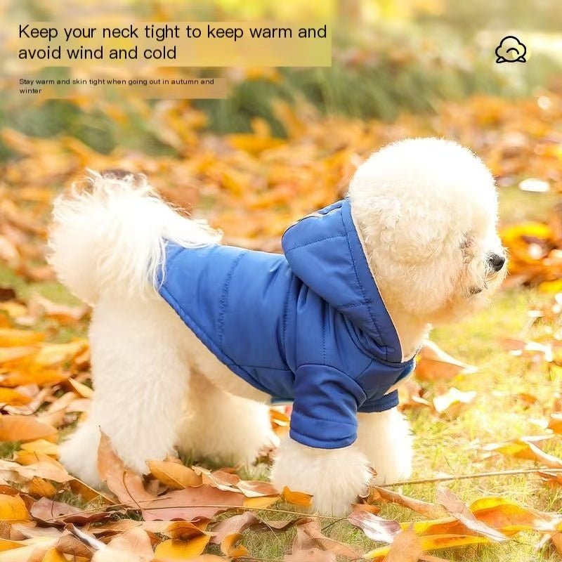 Pet clothing, winter clothing, dog clothing, new autumn and winter styles, down jackets, windproof hooded, cold resistant and insulated clothing for dogs