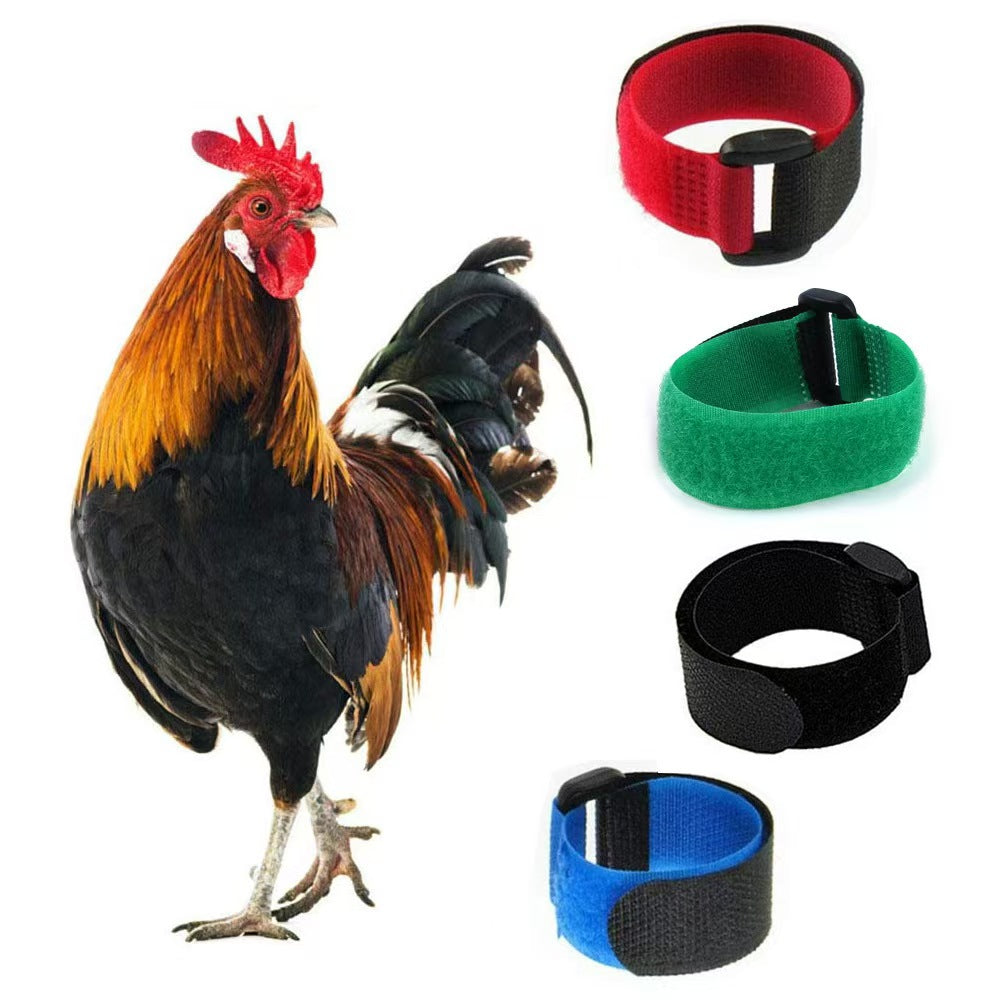 New Pet Chicken Collar 2-piece Anti-rooster Crow No Hook Knot Neck Strap Christmas Collar Supplies
