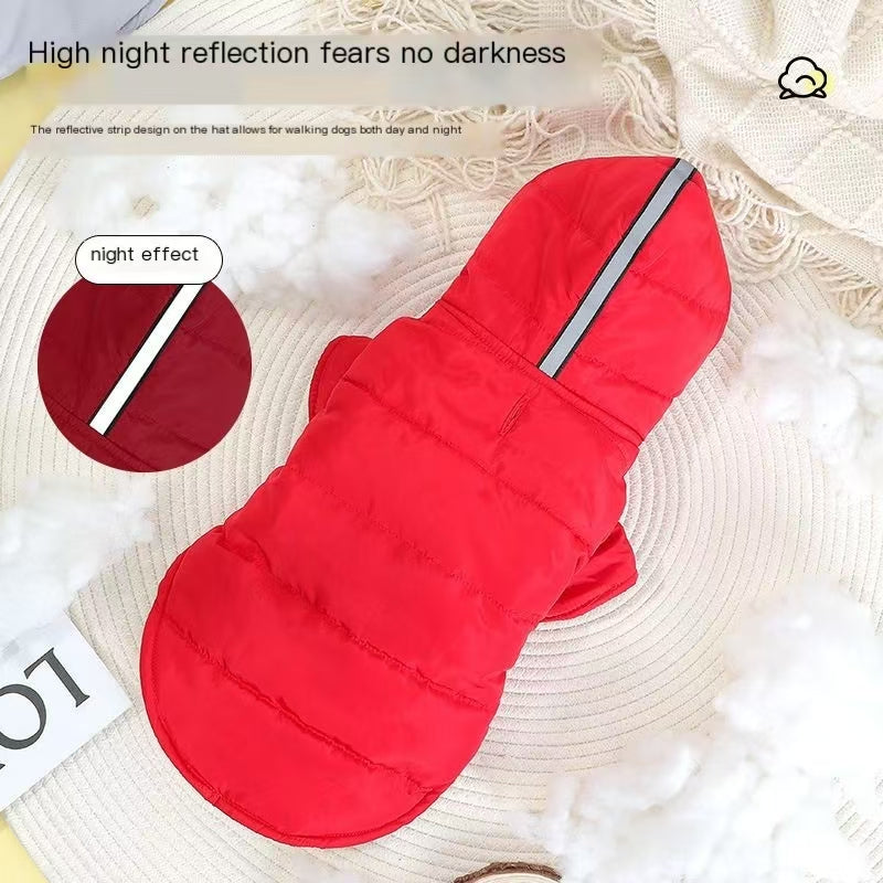 Pet clothing, winter clothing, dog clothing, new autumn and winter styles, down jackets, windproof hooded, cold resistant and insulated clothing for dogs