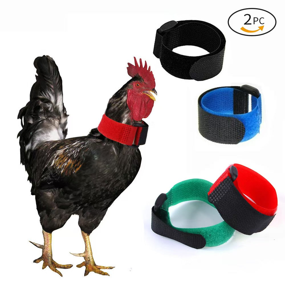 New Pet Chicken Collar 2-piece Anti-rooster Crow No Hook Knot Neck Strap Christmas Collar Supplies