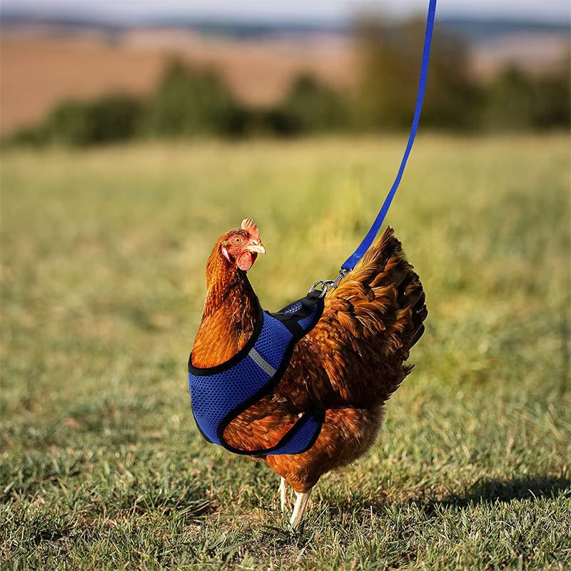 Pet Goose Duck Chicken Breast Strap Traction Rope, Adjustable Chicken Strap, Comfortable Breathable Elastic Strap for Pets