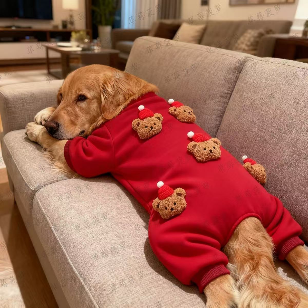 Dog clothes autumn and winter warm thickened cotton-padded clothes Bigbear Teddy Schnauzer small dog cat velvet four-legged clothes