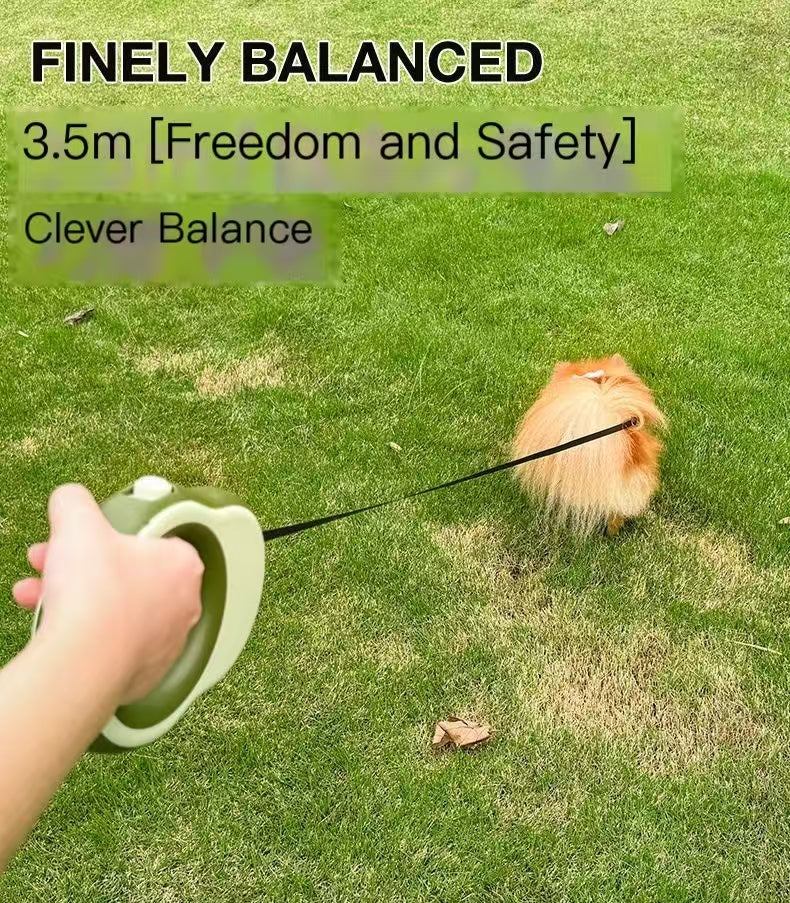 Pet leash with automatic extension and retraction, LED light, dog chain, suitable for small and medium-sized dogs, for walking outside.