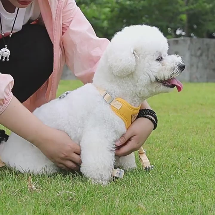 Dog leash cute small dog chest back light unrestrained chest strap outdoor anti-break free pet leash