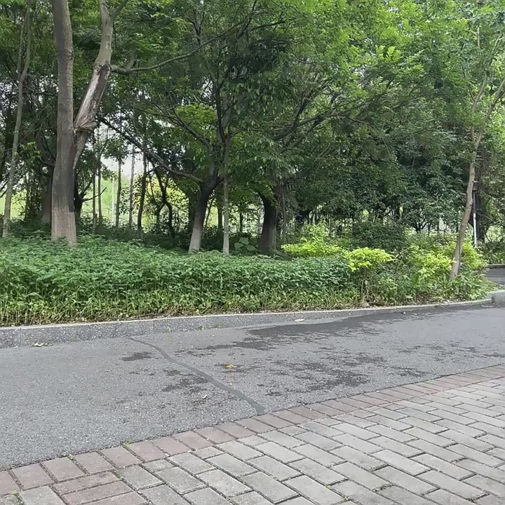 New dog tractor anti-explosion and retractable leash Small and medium-sized dog walking dog tractor Pet supplies