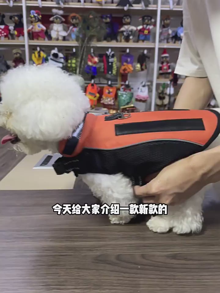 Pet Anti-Bite Clothing with Pads & Four Rows of Rivets, Outdoor Tear-Resistant Outfit for Bichon Frise & Yorkshire Terrier